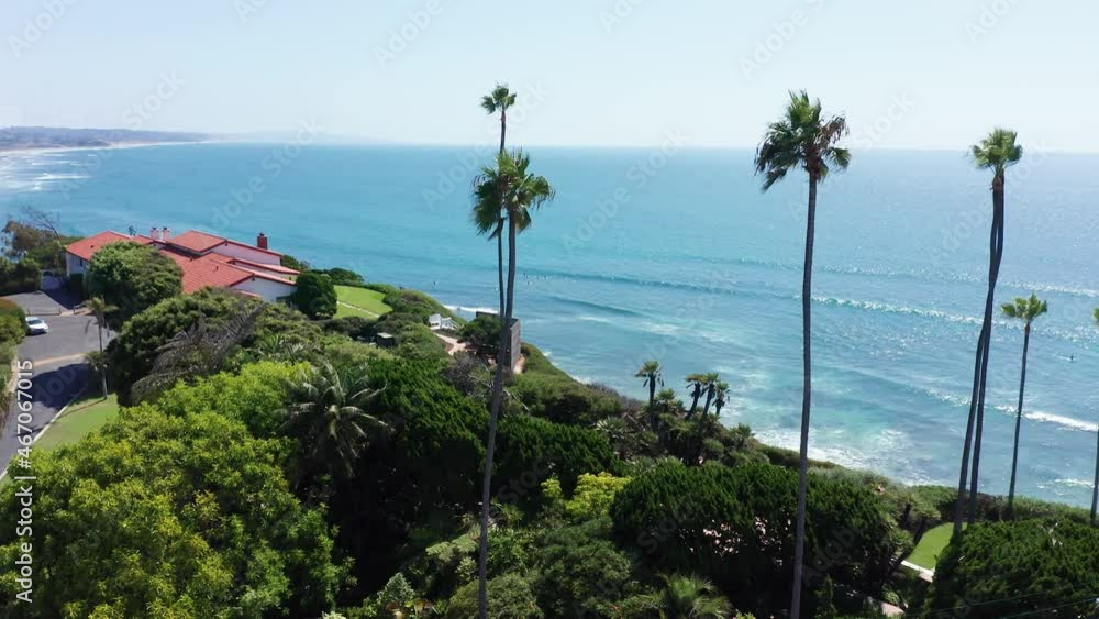 Beautiful aerial shot of a beach with palm trees on the West Coast of America Beautiful aerial shot of a beach with palm trees on the West Coast of America