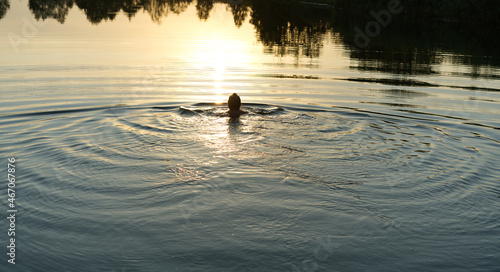 The girl swims in the river at sunset and rests.