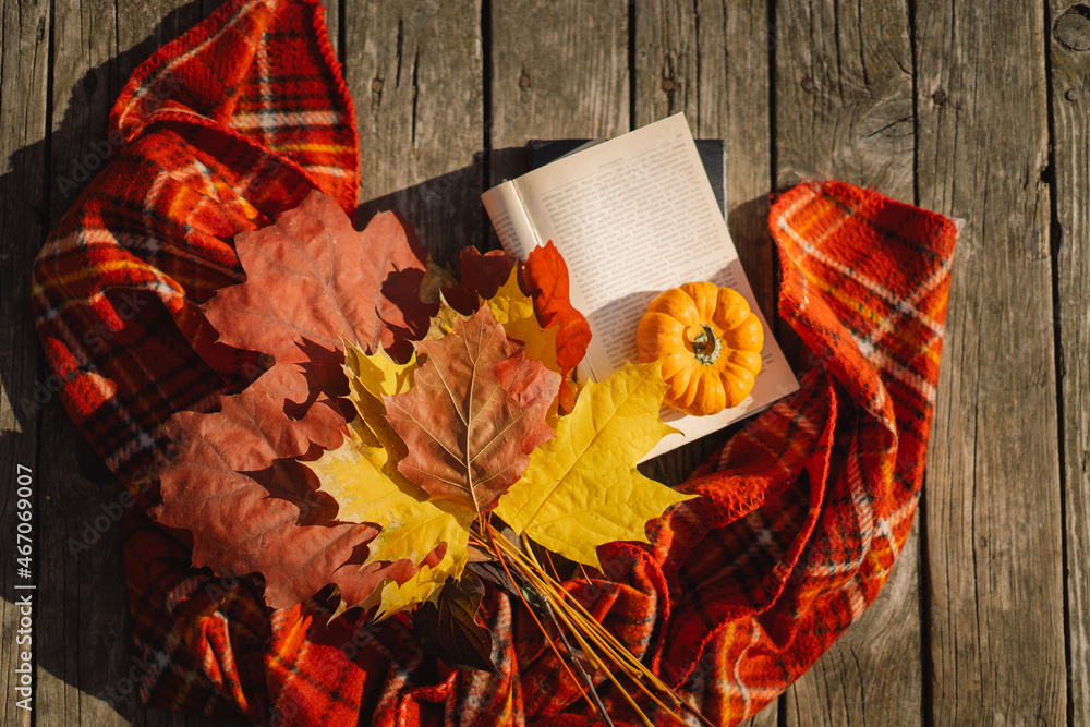 Obraz premium Open book with orange pumpkin, bouquet of autumn leaves with a plaid on a wooden background. Autumn mood. Read and rest. Cozy autumn concept.