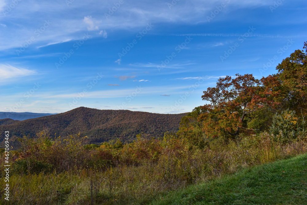 Mountain Scenery With Beautiful Fall Trees in the Foreground and a Bright Blue Sky in the Background