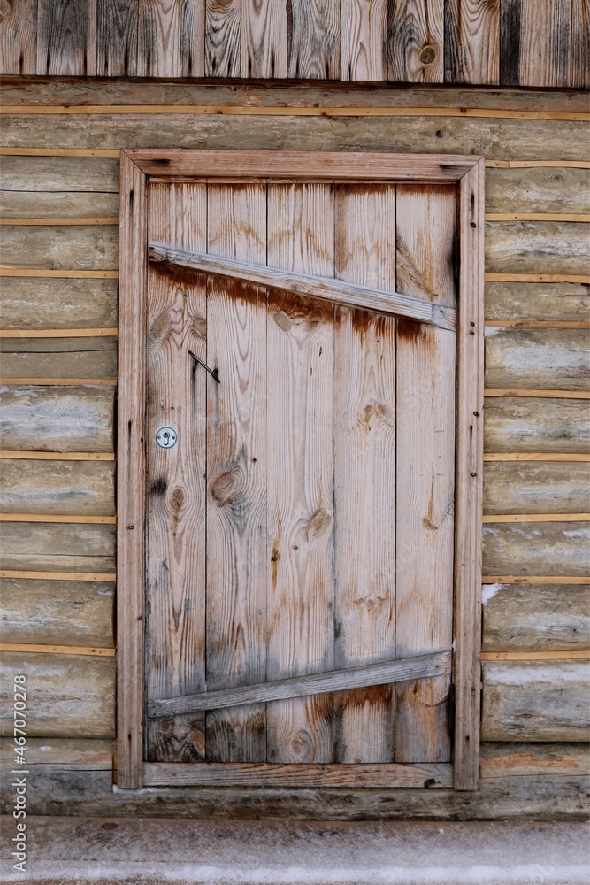 An old wooden door against the background of a wall of logs in a village hut close-up