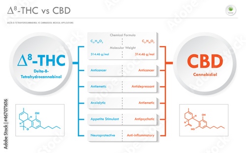 ∆8-THC vs CBD, Delta 8 Tetrahydrocannabinol vs Cannabidiol business infographic