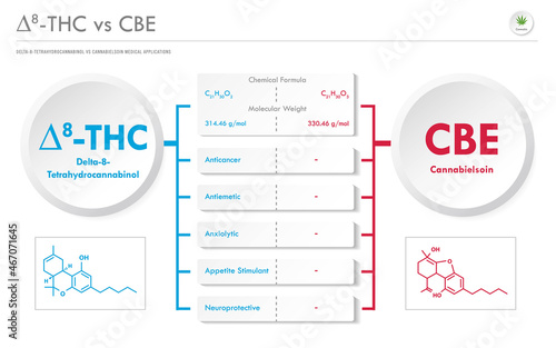 ∆8-THC vs CBE, Delta 8 Tetrahydrocannabinol vs Cannabielsoin horizontal business infographic