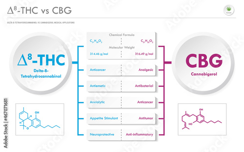 ∆8-THC vs CBG, Delta 8 Tetrahydrocannabinol vs Cannabigerol horizontal business infographic photo