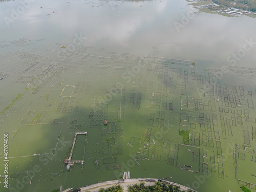 Top aerial view of traditional floating fish pond on swamp in Indonesia photo