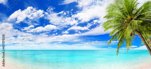 Tropical island beach panorama, turquoise sea lagoon, blue water ocean bay panoramic view, green palm tree leaves, white sand, sun, sky, clouds, summer holidays, Maldives vacation, Caribbean landscape