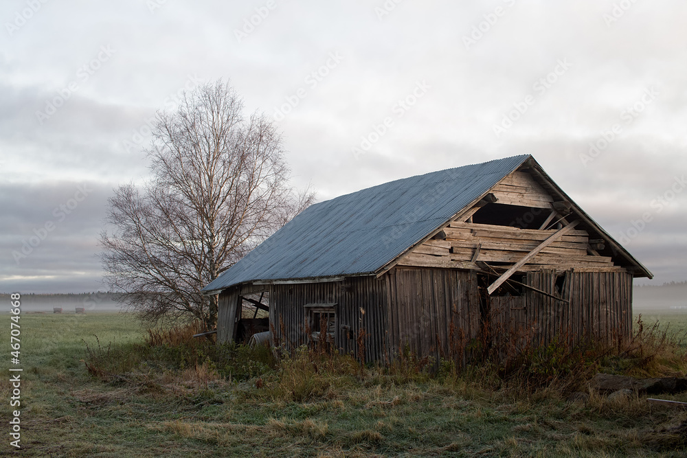 Old Abandoned Barn House on the Misty Fields Old Abandoned Barn House on the Misty Fields