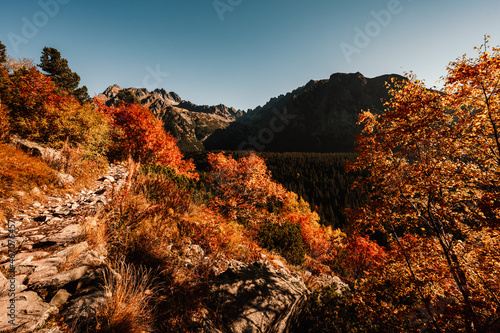 Hiking Strbske lake to popradske lake , very popular hiking destination in High Tatras National park, Slovakia. Autumn color nature . photo