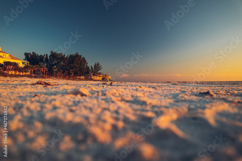 Beach Sunset