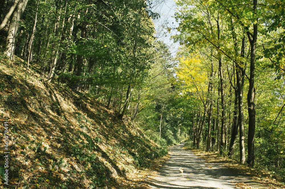 Fototapeta premium Exploring roads less ridden, little adventures around hometown