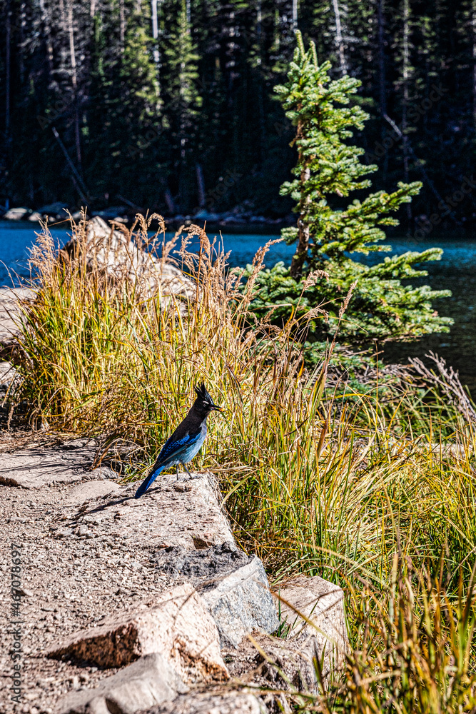 Obraz premium Landscape Photography of United States National Park in 2021