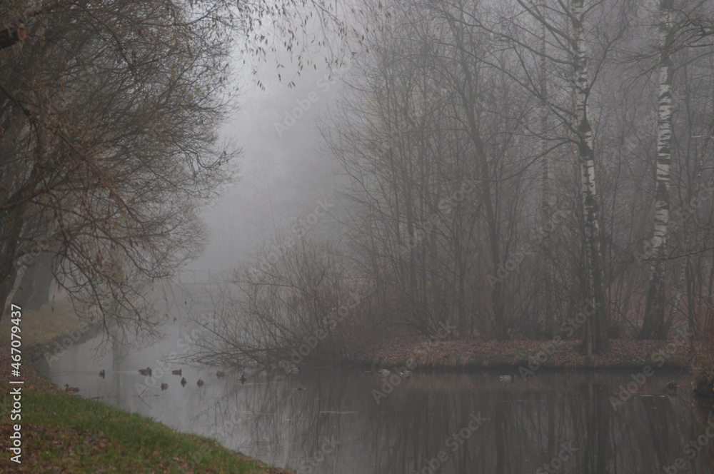 Fototapeta premium Autumn landscape with fog