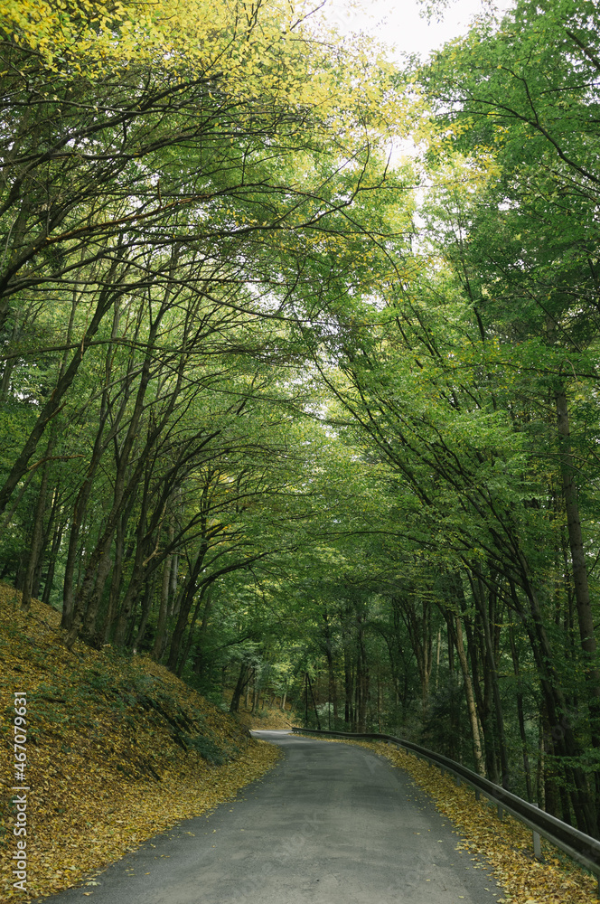 Naklejka premium Exploring roads less ridden, little adventures around hometown