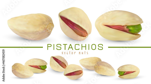 Vector salted pistachio kernel. Realistic green nuts isolated on white background. 3d snack fruit illustration.