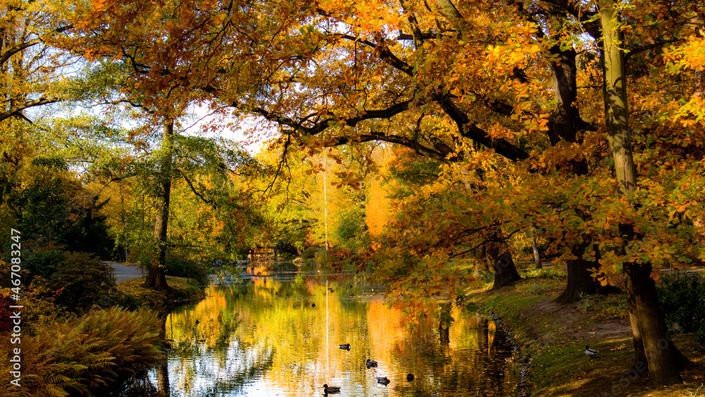 A walk in the park in autumn season / Szczytnicki park - Wroclaw