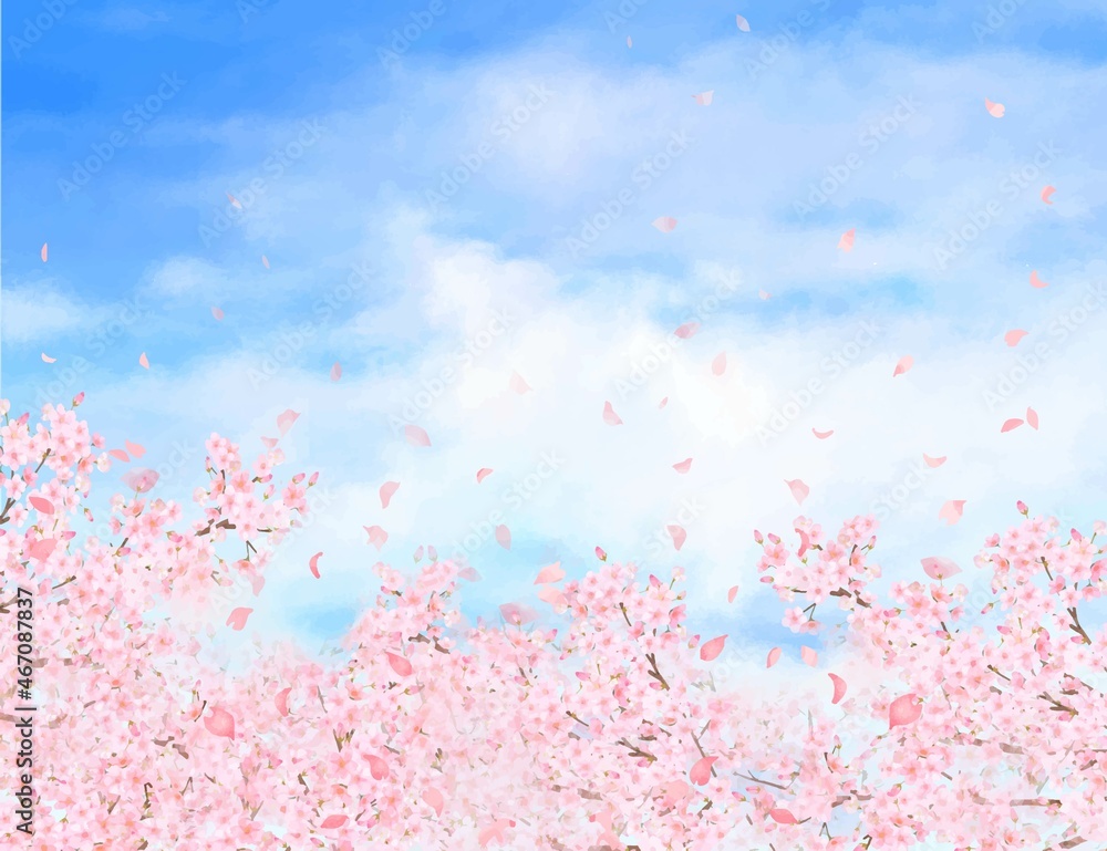 美しく華やかな桜の花と花びら舞い散る春の爽やか青空に雲の横フレーム背景ベクター素材イラスト
