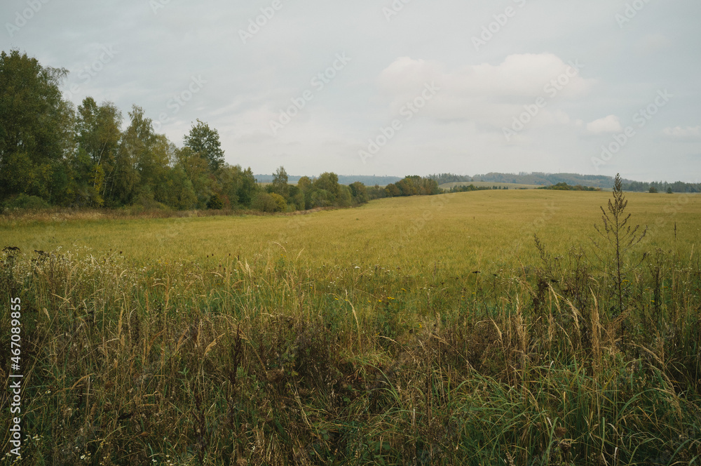 Obraz premium Exploring roads less ridden, little adventures around hometown