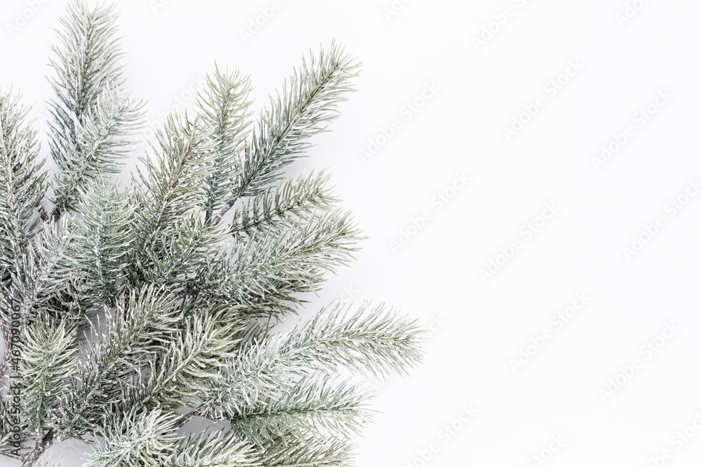 Christmas border  fir branches on a white background