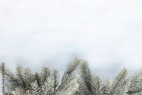 Christmas tree fir  decor on pastel background.