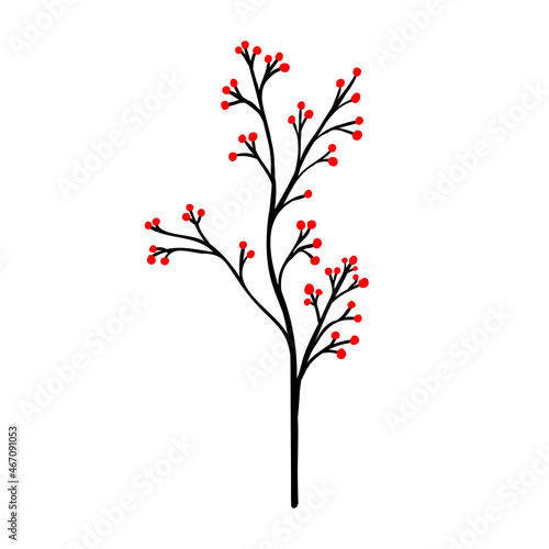Branch with red berries. A bouquet of dried branches with berries. Vector illustration in hand drawn cartoon style.