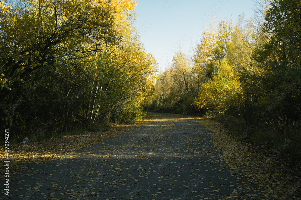 Obraz premium Exploring roads less ridden, little adventures around hometown