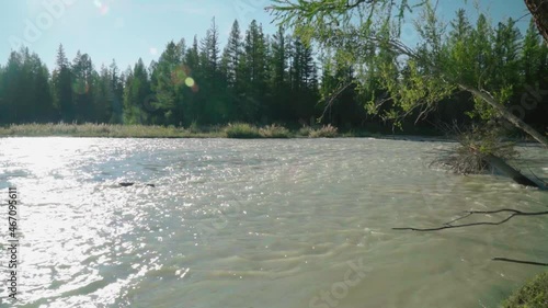mountain river in Altai