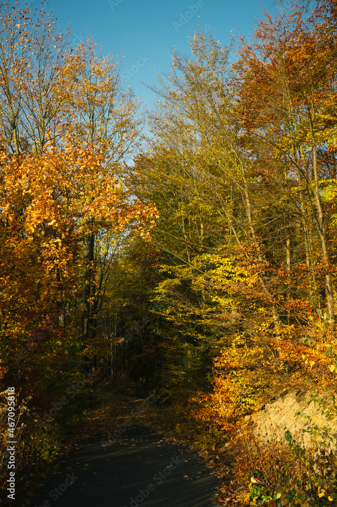 Fototapeta premium Exploring roads less ridden, little adventures around hometown