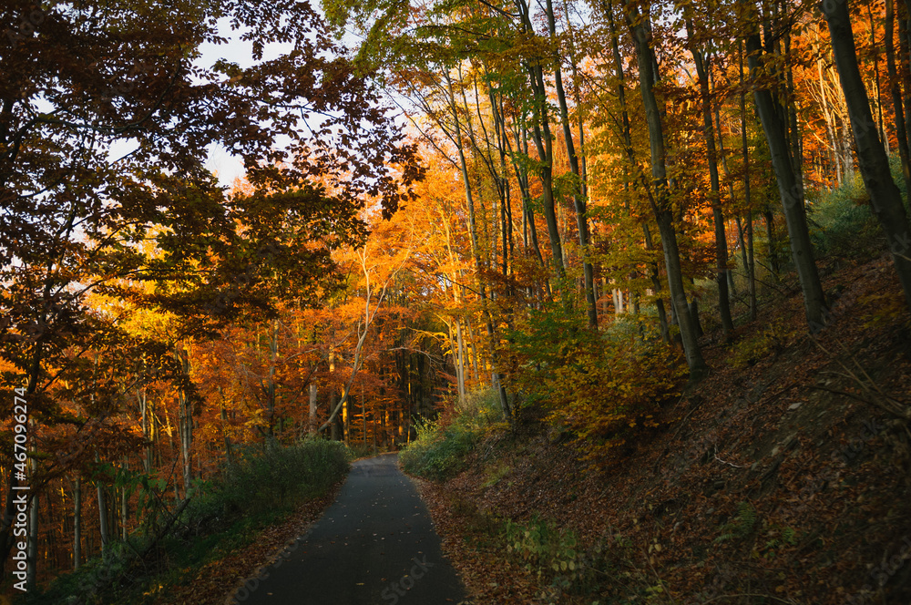 Fototapeta premium Exploring roads less ridden, little adventures around hometown