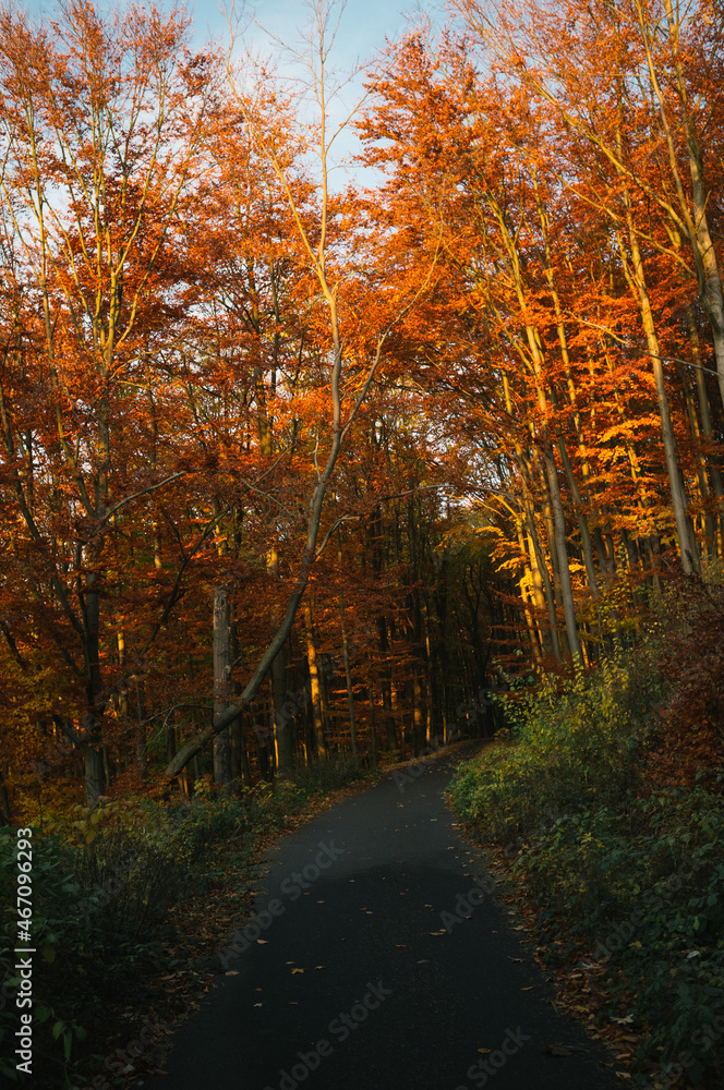 Fototapeta premium Exploring roads less ridden, little adventures around hometown