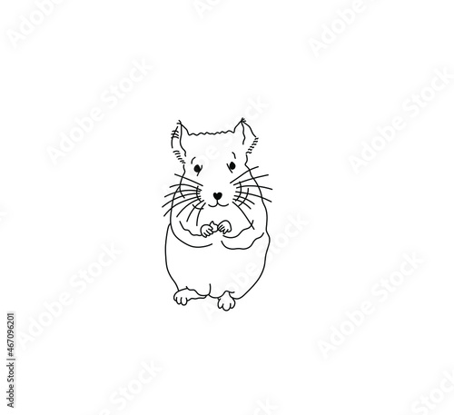 Vector isolated chinchilla standing on its hind legs contour line drawing. Colorless black and white drawn chinchilla