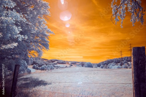 Infrared Photo - A surreal dramatic forest with a burning sky in infrared light shining throu the blue leafs - Germany - Hattingen photo