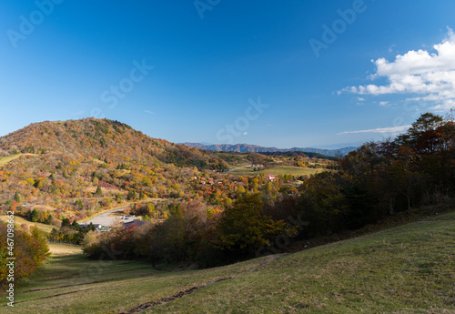 紅葉する茶臼山高原