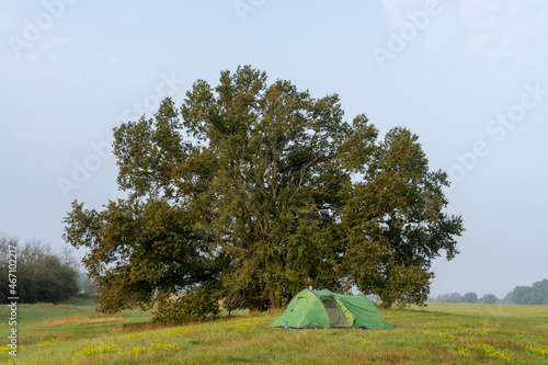 Camping in front of a tree, Hohenwarthe, Germany