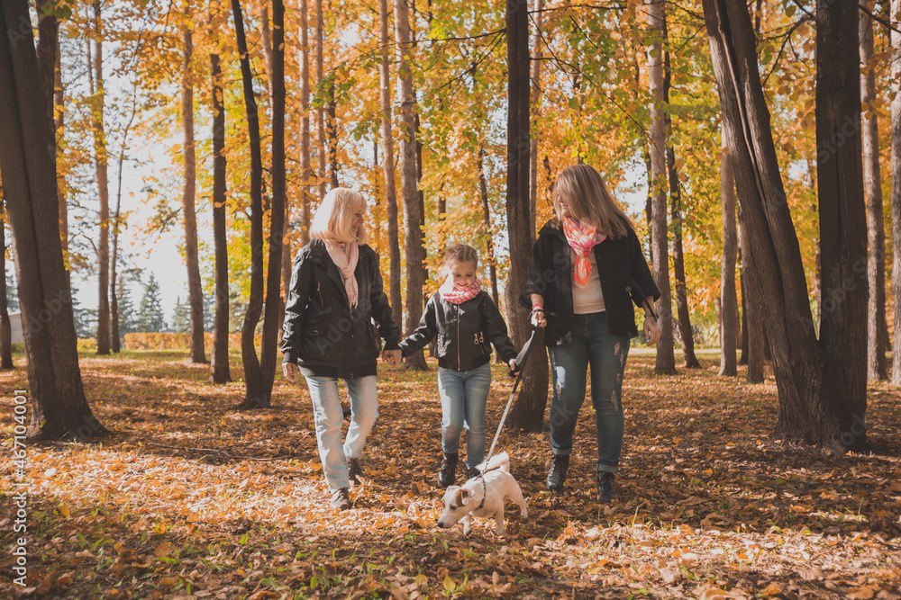 Fototapeta premium Grandmother and mother with granddaughter walks together in autumn park and having fun. Generation, leisure and family concept.