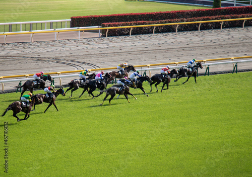 競馬　東京競馬場