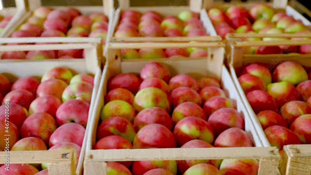 many red apples in boxes in the warehouse many red apples in boxes in the warehouse