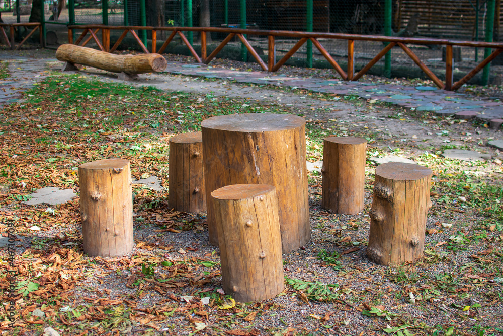 Wooden table made of a tree trunk sitting on a beautiful autumn landscape, Roman, Romania
Wooden table made of a tree trunk sitting on a beautiful autumn landscape, Roman, Romania