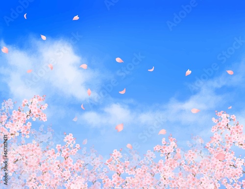 美しく華やかな桜の花と花びら舞い散る春の爽やか青空に雲のフレーム背景ベクター素材イラスト