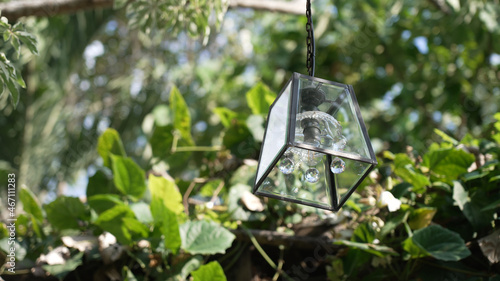 A beautiful crystal lamp hangs against a background of green plants and a flying butterfly in the rays of sunlight. Beautiful vintage glass lantern close-up on the background of tropical vegetation.
