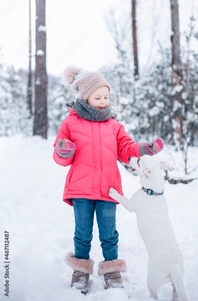 Little girl in a bright jacket plays in the winter snowy forest with ...
