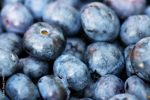 Freshly picked ripe blueberries as background. Fresh blueberry background. Bunch of blueberries