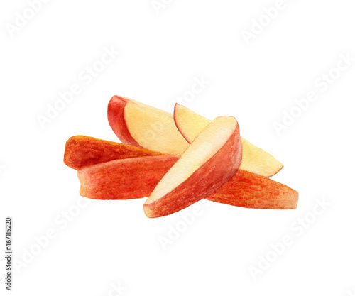 Apple slices watercolor illustration isolated on white background