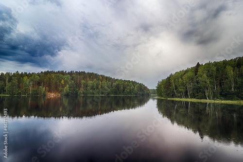 reflection of trees in lake