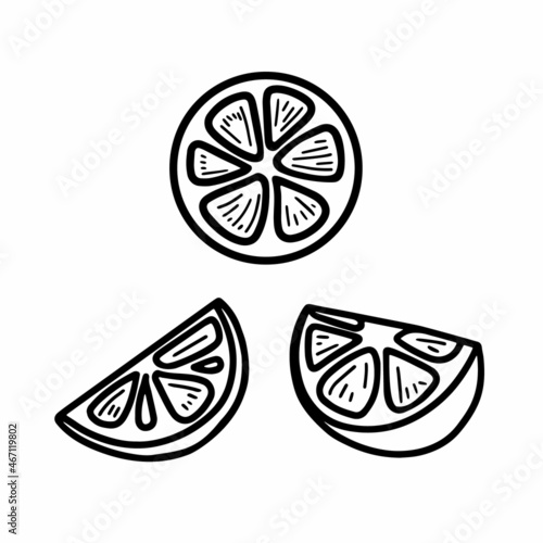 Vector hand drawn set of lemon isolated on white background icon. Funny doodle slices of lemon for seasonal design, textile, decoration caffe or greeting card. Retro isolated sketches in vintage style