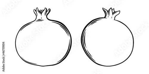 Pomegranate fruit side view. Colored exotic pomegranate fruit. Vector illustration isolated in white background