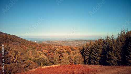 Aerial drone view of countryside hilly landscape in autumn colors.