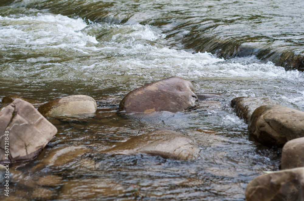 Obraz premium Fast flowing cold water mountain stream, nature outdoors, fresh stream dark blue water
