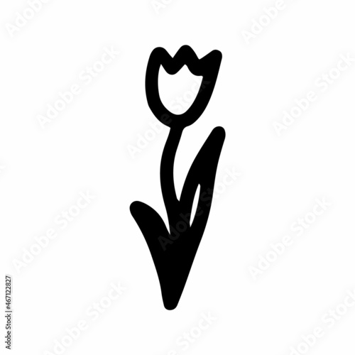 Floral vector hand drawn flower. A tulip in doodle style isolated on white background. Adult, kids flower coloring illustration for seasonal design, textile, decoration kids playroom or greeting card.