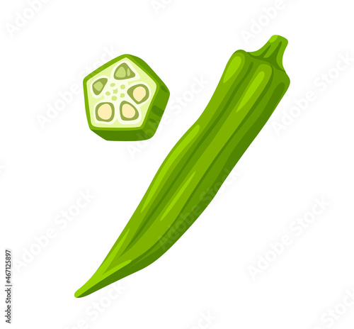 Okra, Okura Okazu, ladyfinger, bamia or Bhindi. Fresh green vegetable, asian cooking ingredient. Whole and sclice. Healthy vegetarian food. Flat vector illustration.
