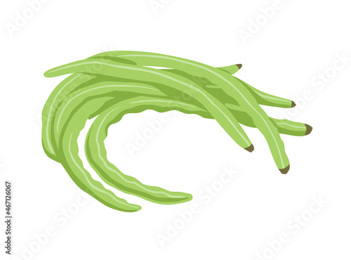 Chinese Snake Beans, Yardlong Beans, Asparagus, Long-podded cowpea. Green asian vegetable, cooking ingredient. Hand drawn flat vector illustration.